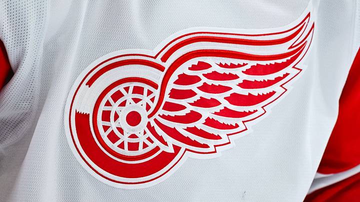 View of a Detroit Red Wings logo on a jersey Credit: David Kirouac-Imagn Images