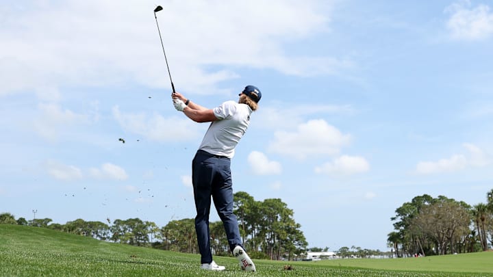 The Cognizant Classic in The Palm Beaches