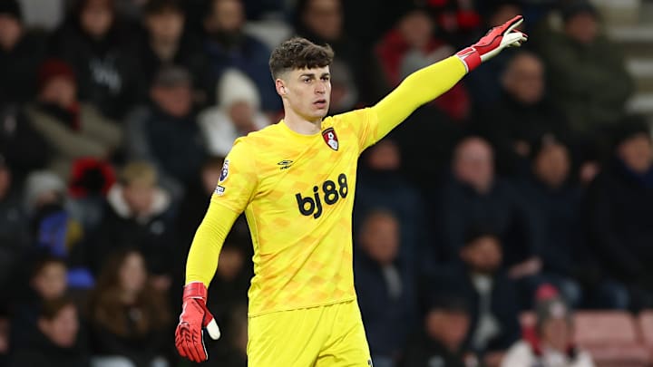AFC Bournemouth v Brentford FC - Premier League