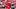 St. Louis Cardinals starting pitcher Kyle Leahy