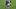 Folarin Balogun, Tarik Muharemovic Folarin Balogun, Tarik Muharemovic