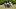 Southern Miss, Offensive Line Southern Miss, Offensive Line