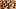 Brown and tan chess board and pieces Brown and tan chess board and pieces