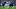BYU QB Bear Bachmeier against TCU BYU QB Bear Bachmeier against TCU