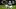 New England Patriots running back TreVeyon Henderson New England Patriots running back TreVeyon Henderson