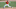 Andrew Abbott will force his way onto the Reds roster. Andrew Abbott will force his way onto the Reds roster.