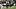 Missouri Tigers running back Jamal Roberts Missouri Tigers running back Jamal Roberts