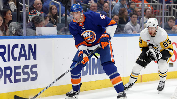 Dec 27, 2023; Elmont, New York, USA; New York Islanders defenseman Robert Bortuzzo (41) controls the