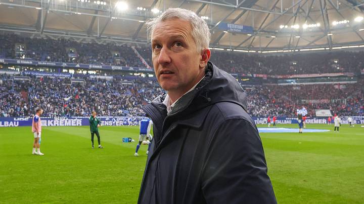 Frank Baumann in der heimischen Veltins Arena