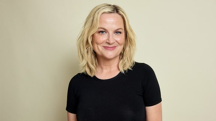 Amy Poehler - 85th Annual Peabody Awards- Portraits