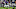 Baltimore Ravens, tyler huntley Baltimore Ravens, tyler huntley