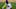 Marcell Ozuna