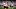 Kai Havertz, Felix Nmecha