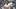 Bisher teuerster Neuzugang der Spurs in diesem Sommer: Sandro Tonali Bisher teuerster Neuzugang der Spurs in diesem Sommer: Sandro Tonali