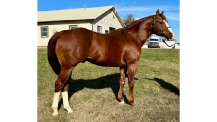 JL Sirocco JL Sirocco