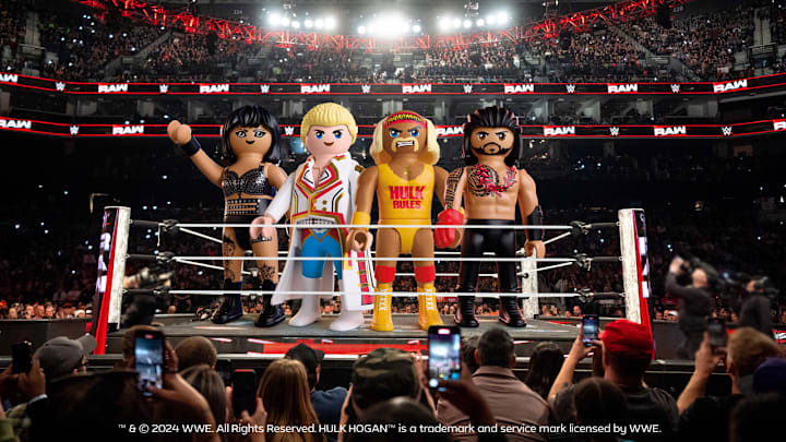 Screenshot of the WWE & Playmobil figures