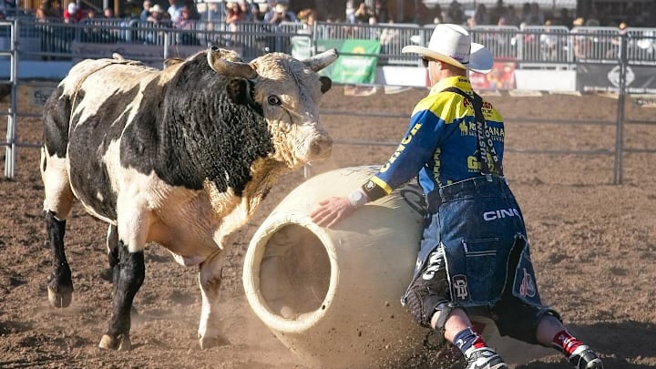 Dusty Tuckness working at Tucson, Ariz. rodeo.