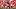 Wisconsin's Javan Robinson. Wisconsin's Javan Robinson.