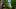Scenery of Japan/Nachi Falls(Kumano Kodo) Scenery of Japan/Nachi Falls(Kumano Kodo)