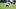 Chicago Bears linebacker Jack Sanborn. Chicago Bears linebacker Jack Sanborn.