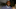 Natalie White, Brett Clouser, Jaison Robinson, Russell Hantz, Mick Trimming Natalie White, Brett Clouser, Jaison Robinson, Russell Hantz, Mick Trimming