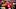 Patrick Mahomes Patrick Mahomes