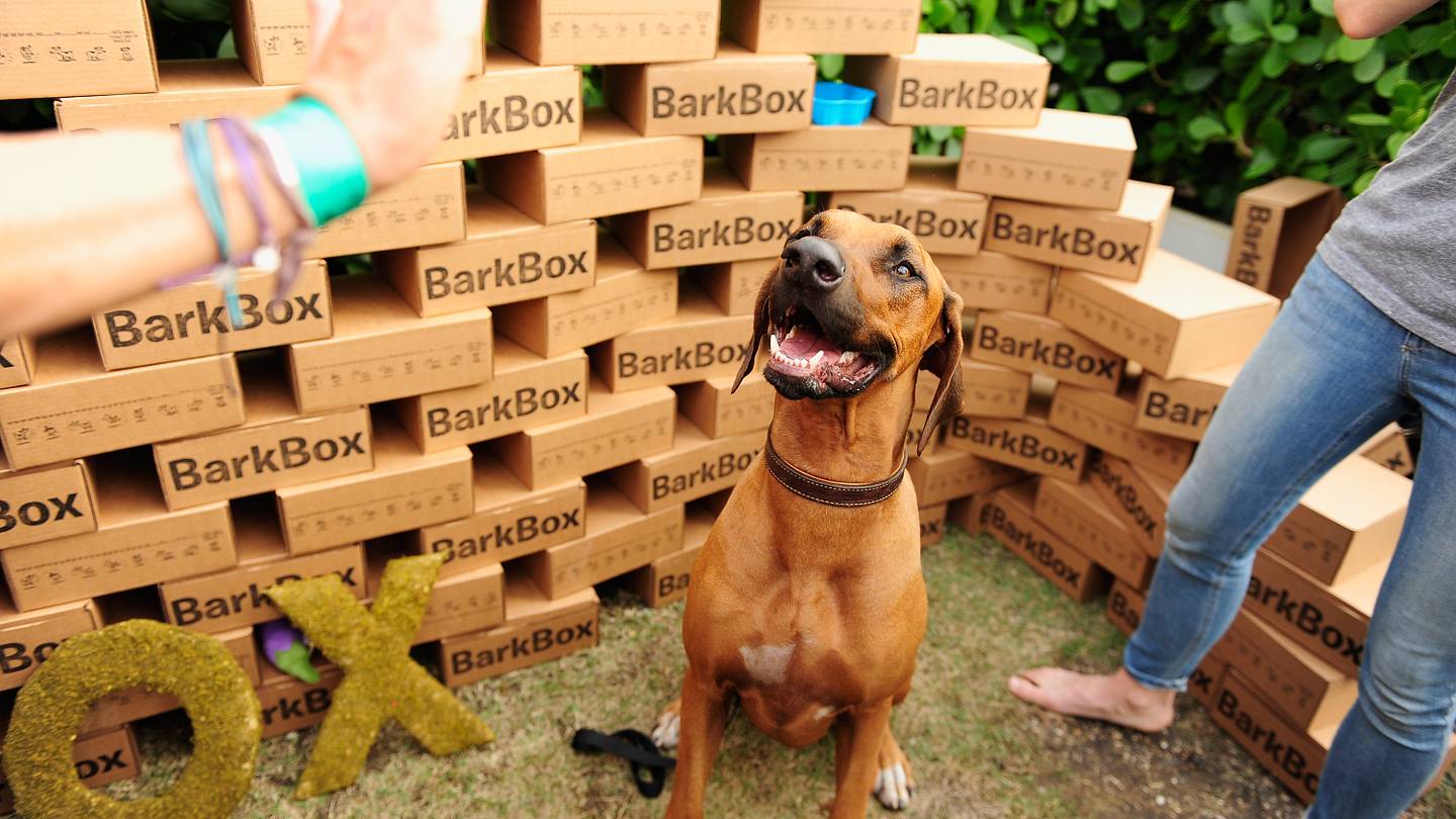 BarkBox's August theme is all about walking in the Andes