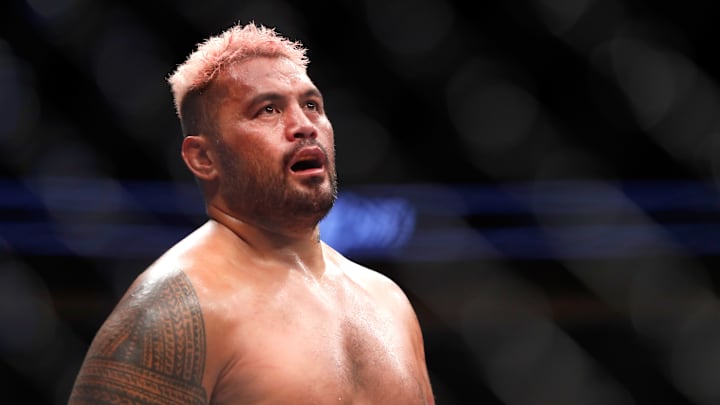 Mark Hunt