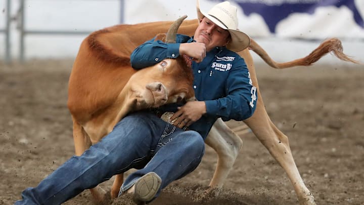 Steer wrestler Dirk Tavenner, of Rigby, Idaho, grabs the horns of a steer during opening night of the Kitsap Fair & Stampede rodeo in Bremerton, Wash. on Wednesday, Aug. 23, 2023.