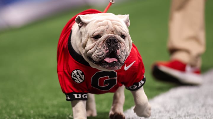 Aug 31, 2024; Atlanta, Georgia, USA; Georgia Bulldogs mascot Uga XI on the field against the Clemson Tigers in the first quarter at Mercedes-Benz Stadium. Mandatory Credit: Brett Davis-Imagn Images
Aug 31, 2024; Atlanta, Georgia, USA; Georgia Bulldogs mascot Uga XI on the field against the Clemson Tigers in the first quarter at Mercedes-Benz Stadium. Mandatory Credit: Brett Davis-Imagn Images