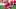 Fantasy Football, Travis Kelce, Kansas City Chiefs Fantasy Football, Travis Kelce, Kansas City Chiefs