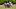 Southern Miss Football, Offensive Linemen Southern Miss Football, Offensive Linemen
