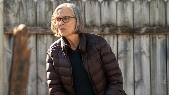 Chicago P.D. - Season 13