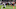 Tylan Wallace, Baltimore Ravens Tylan Wallace, Baltimore Ravens