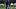 Jarrett Stidham Jarrett Stidham