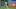 Chicago Cubs left fielder Ian Happ Chicago Cubs left fielder Ian Happ