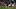 Atletico Madrid v Bayer 04 Leverkusen - UEFA Champions League