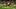 Southern Miss Football, Arkansas State Football