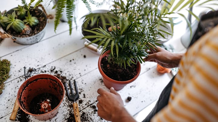 Your plants will thank you.