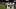 Nov 27, 2025; Baltimore, Maryland, USA; Cincinnati Bengals linebacker Barrett Carter Nov 27, 2025; Baltimore, Maryland, USA; Cincinnati Bengals linebacker Barrett Carter