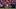 College Football Rankings: Phil Steele Predicts the AP Top 25 Preseason Poll College Football Rankings: Phil Steele Predicts the AP Top 25 Preseason Poll