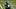 New York Jets offensive lineman Xavier Newman New York Jets offensive lineman Xavier Newman