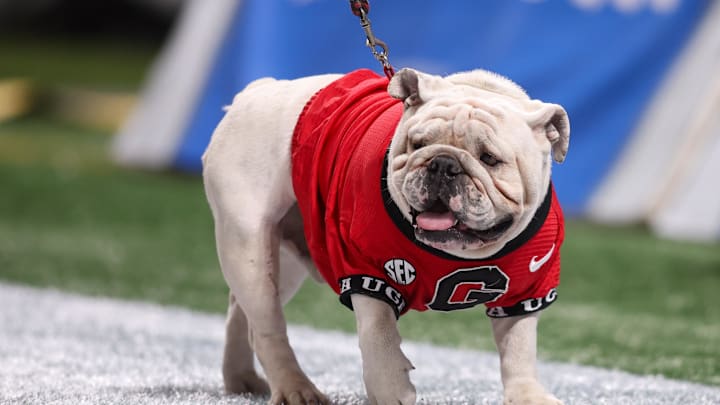 Nov 28, 2025; Atlanta, Georgia, USA; Georgia Bulldogs mascot Uga on the field before a game against the Georgia Tech Yellow Jackets at Mercedes-Benz Stadium. Mandatory Credit: Brett Davis-Imagn Images
