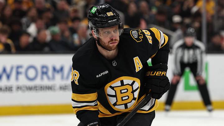 Boston Bruins right wing David Pastrnak (88): Winslow Townson-Imagn Images