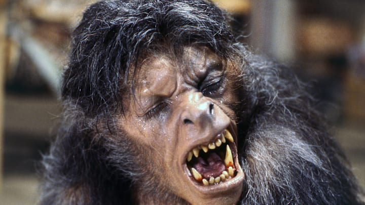 On the set of An American Werewolf in London