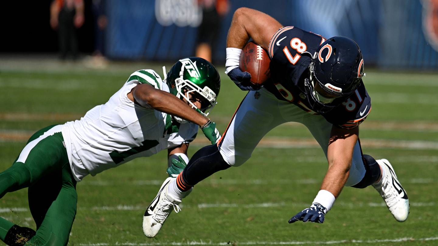 Chicago Bears Week 4 Rookie Report: Who's Rising and Falling After Week 4 Win?