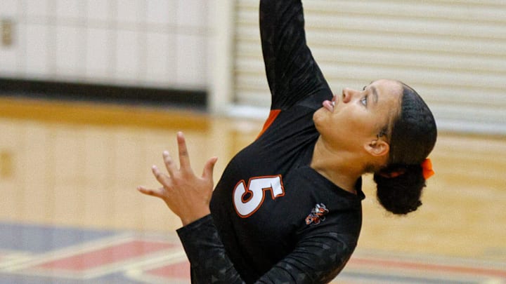 Booker T. Washington's Arriana Brown.