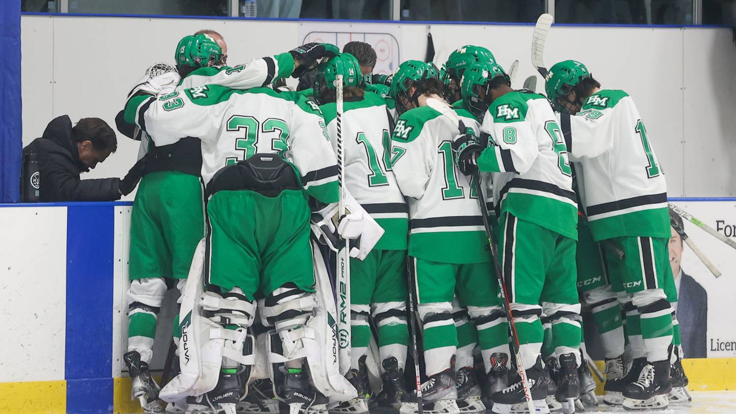 Minnesota High School Boys Hockey 2026 Section Tournament Brackets ...