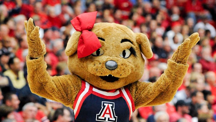 Mar 2, 2014; Tucson, AZ, USA; Arizona Wildcats mascot Wilma walks on the court during a timeout during the first half against the Stanford Cardinal at McKale Center. Arizona won 79-66. Mandatory Credit: Casey Sapio-Imagn Images Mar 2, 2014; Tucson, AZ, USA; Arizona Wildcats mascot Wilma walks on the court during a timeout during the first half against the Stanford Cardinal at McKale Center. Arizona won 79-66. Mandatory Credit: Casey Sapio-Imagn Images