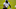 D.K. Metcalf, Seattle Seahawks